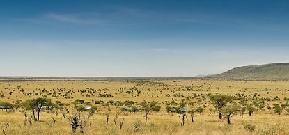 Nyikani Camp- Central Serengeti