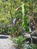 Carabeo 2000 3.1