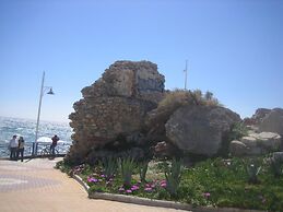Carabeo 2000 3.1