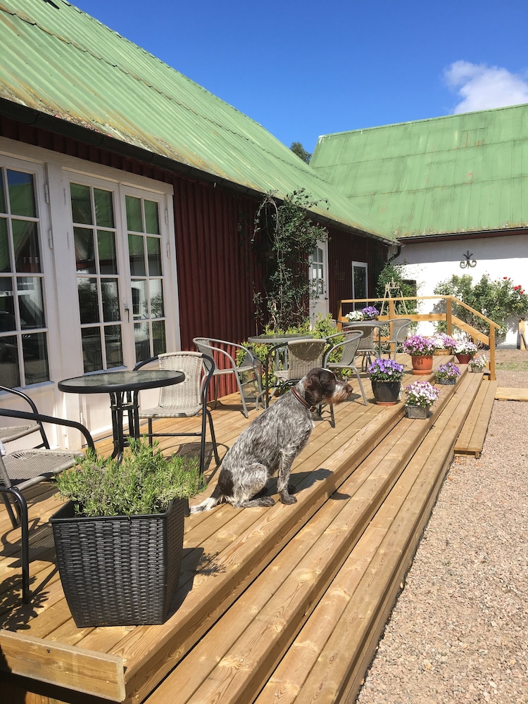 Skummeslöv B&B
