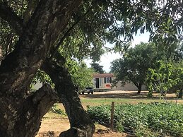Tiny Casa - Mobile House