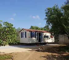 Tiny Casa - Mobile House