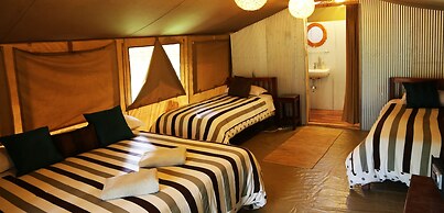 Wildebeest Eco Camp