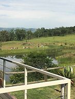 Grey Goose Game Lodge