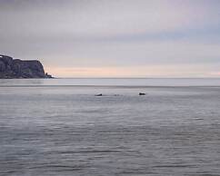 Båtsfjord Brygge