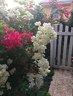 Hillcrest Guest House USVI