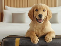 ibis Styles Nowy Targ