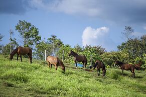 La Finca Lodge