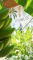 Focus Rooms
