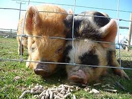 Birchill Farm Holiday Cottages