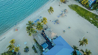 Ocean Breeze