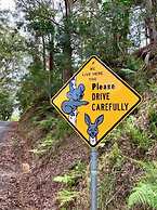Noosa Hinterland Retreat