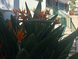 Paradise Suites