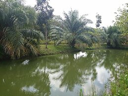 Coconut Valley Bed & Breakfast