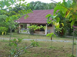 Coconut Valley Bed & Breakfast
