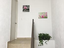 Residencial Xola