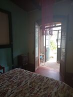 Casa del Árbol Hostel