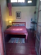 Casa del Árbol Hostel