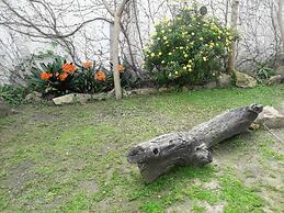 Casa del Árbol Hostel