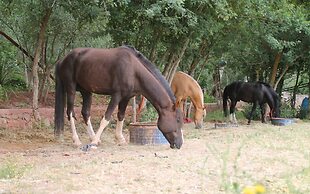 Ecolodge Tamount