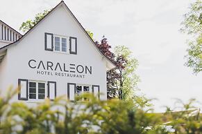 Caraleon