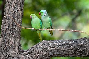RAAS Chhatrasagar