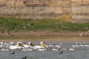 RAAS Chhatrasagar