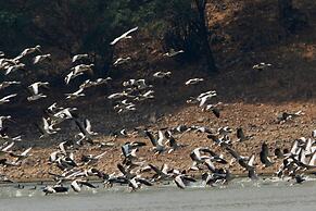 RAAS Chhatrasagar