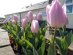 Craig Eithin B & B Holyhead