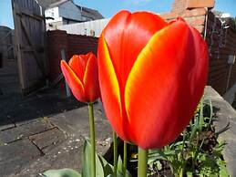 Craig Eithin B & B Holyhead