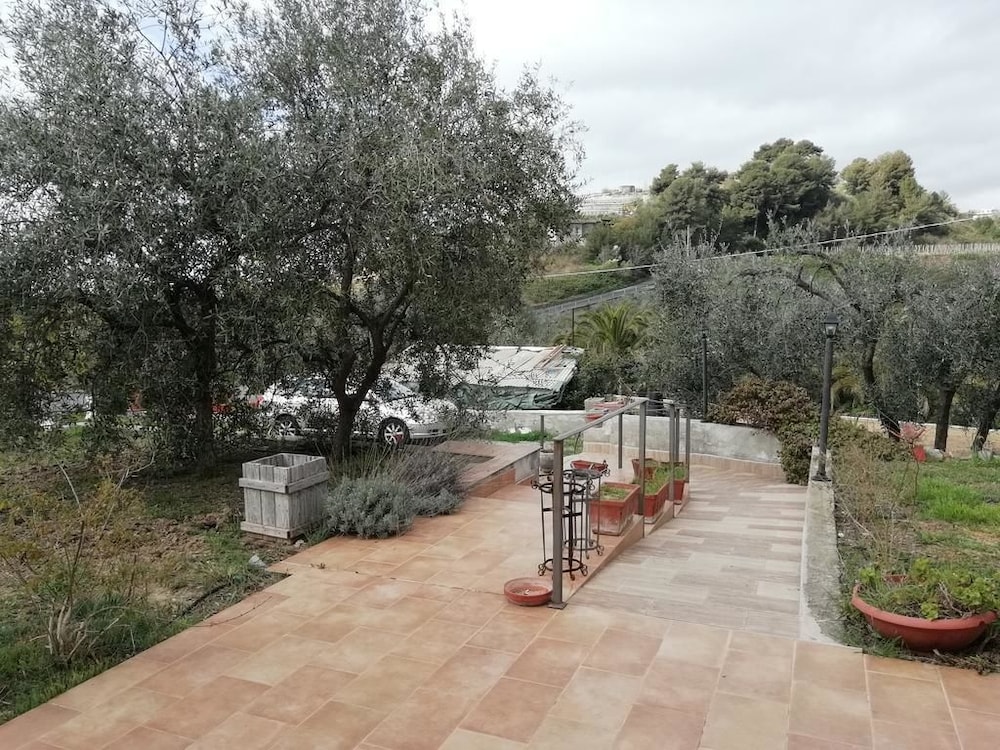 Agriturismo il Grande Ulivo