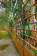 Bamboo Grove Chiang Mai