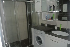 Olive city 6 11