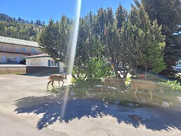 Lido Motel