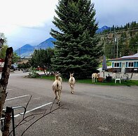 Lido Motel