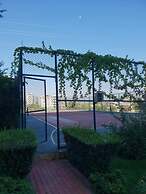 Crown City D67