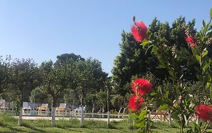 Hotel Palme Dalyan