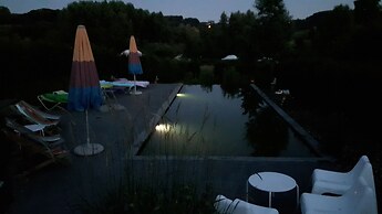 Ecochique