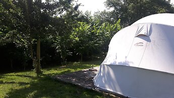 Ecochique