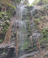Paradise Wild Hills