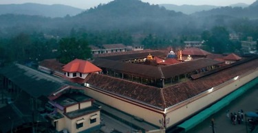 Paradise Wild Hills