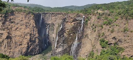 Paradise Wild Hills