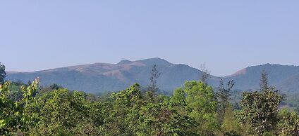 Paradise Wild Hills