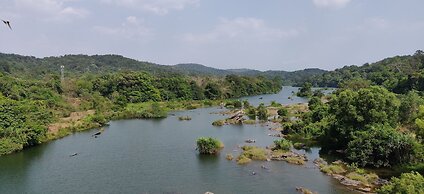 Paradise Wild Hills