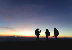 Paradise Wild Hills