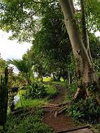 Kingfisher Ecolodge