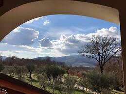 Agriturismo L'Ulivo