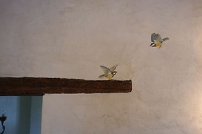 Domus Cariana