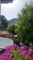 Nehir Dalyan Boutique Otel