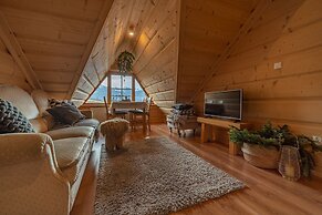 Willa Olsza Apartamenty